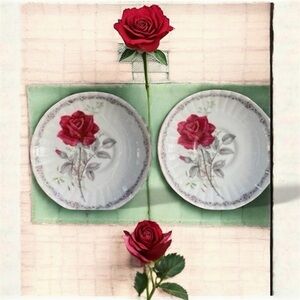 Vintage Royal Stafford Set Of 2 Roses to Remember Bone China Tea Saucers England